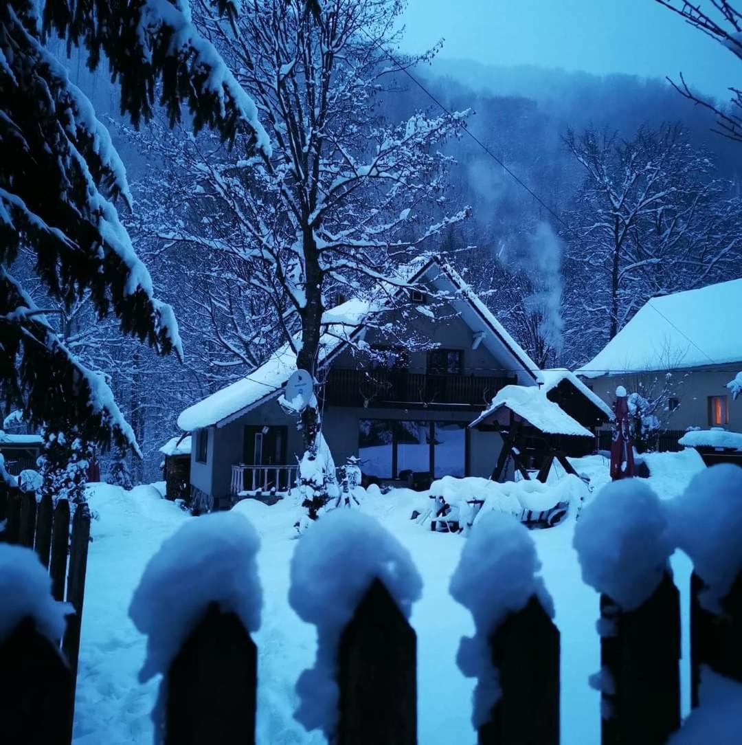 Cabana Valea Rea, Boga Boga  Exterior foto